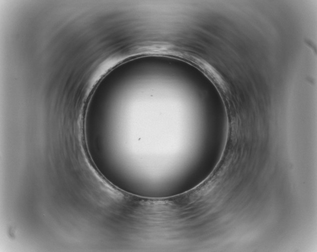 X0000099401432200805081524
