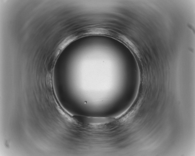 X0000099401433200805081524