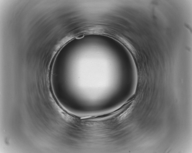 X0000099401434200805081524