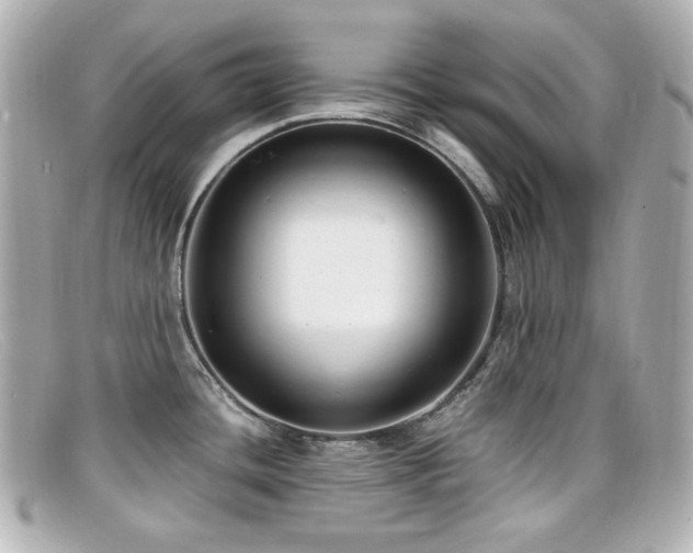 X0000099401436200805081524
