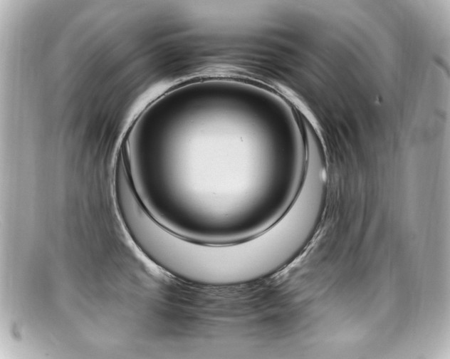 X0000099401437200805081524