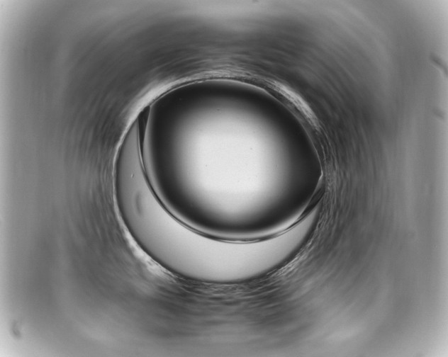X0000099401439200805081524