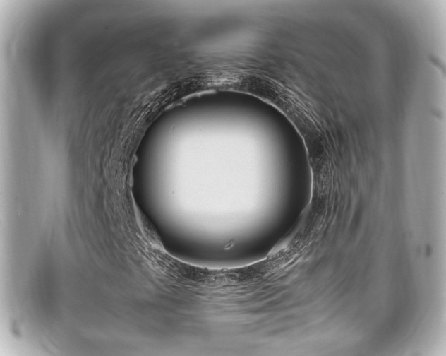 X0000099401441200805081523