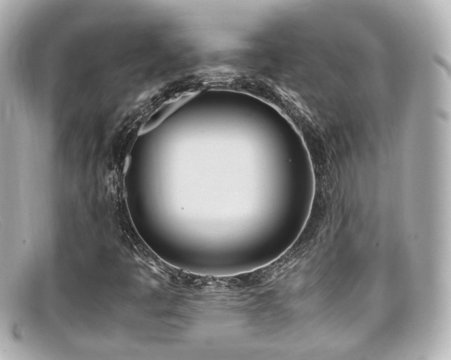 X0000099401445200805081523