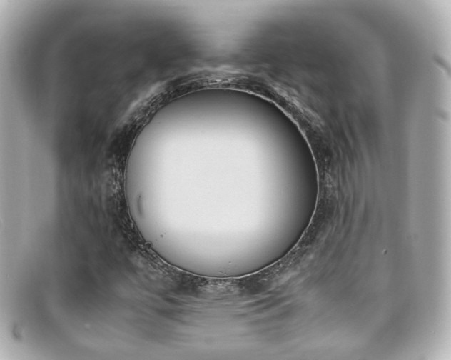 X0000099401447200805081523