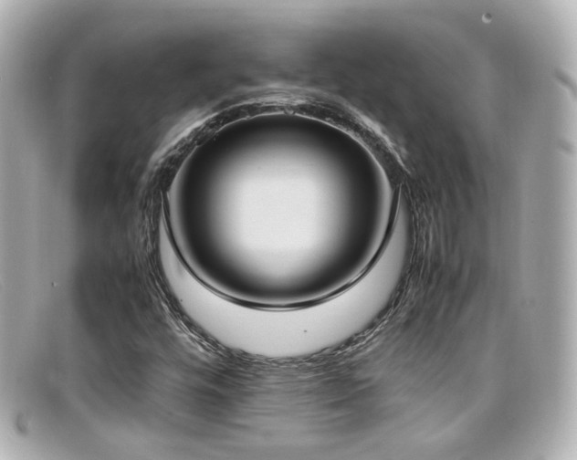 X0000099401448200805081523