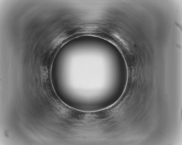 X0000099401449200805081523
