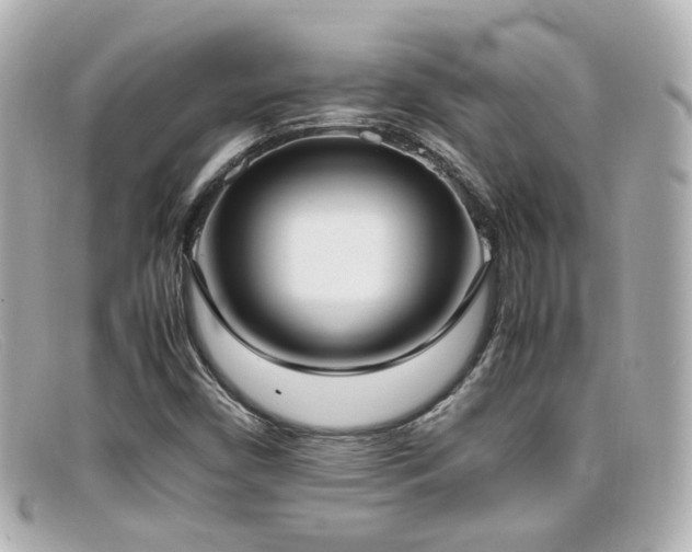 X0000099401450200805081523