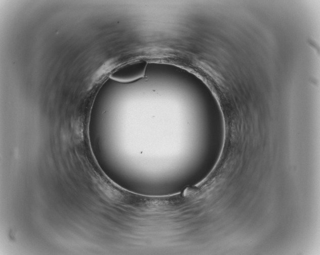 X0000099401451200805081523