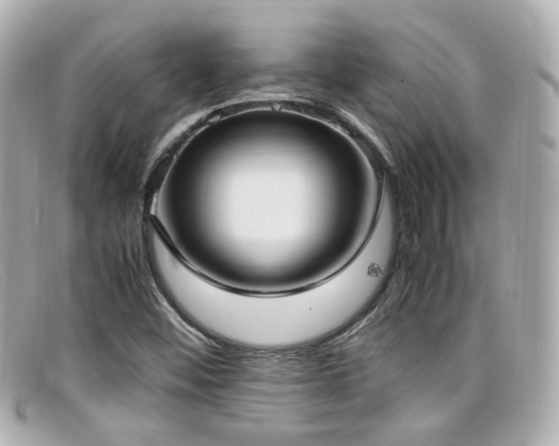 X0000099401452200805081523