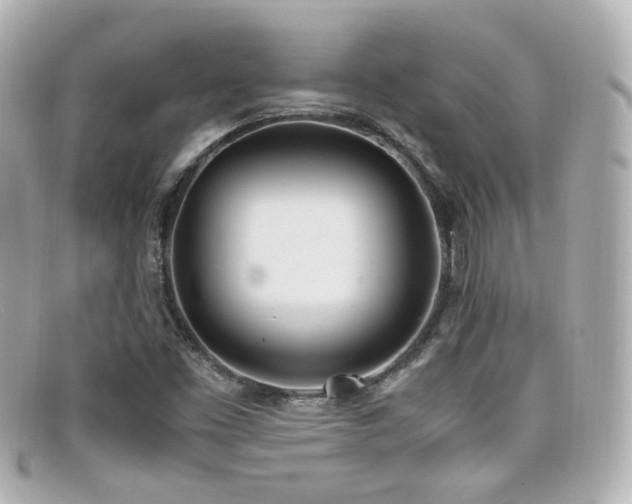 X0000099401453200805081523