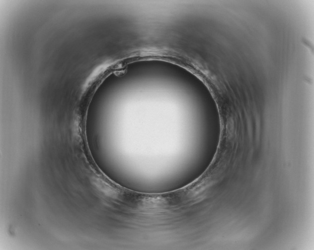 X0000099401454200805081523