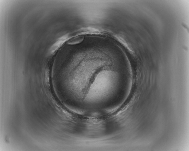 X0000099401455200805081523