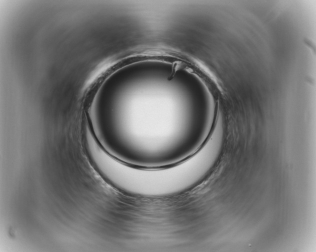 X0000099401456200805081523