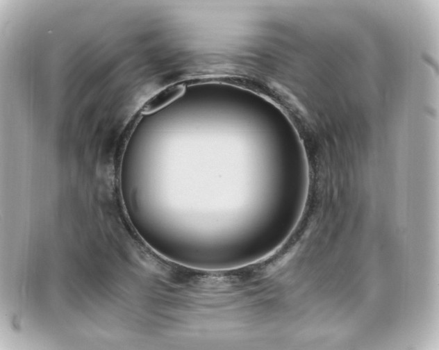 X0000099401457200805081523