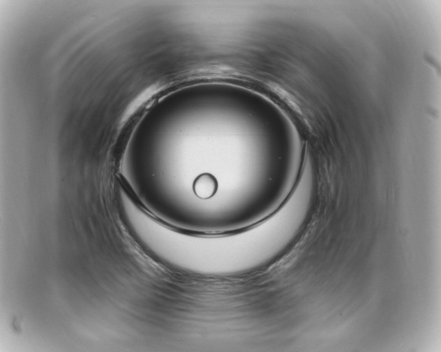 X0000099401458200805081523