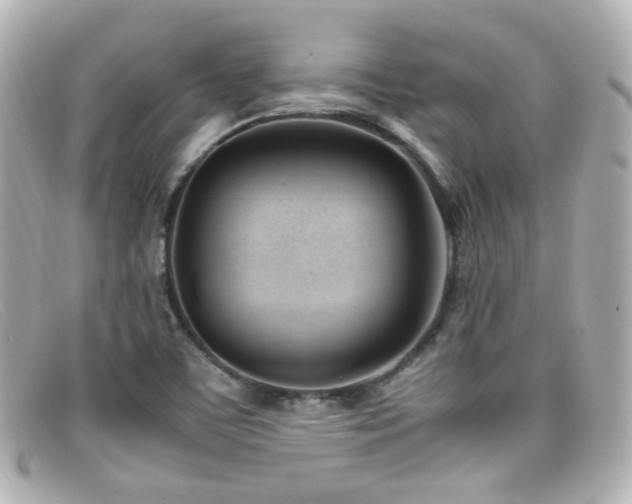 X0000099401459200805081523