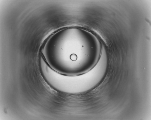 X0000099401460200805081523