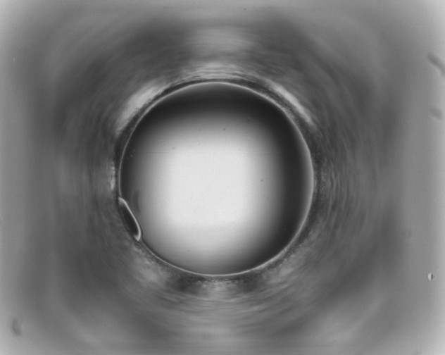 X0000099401461200805081523