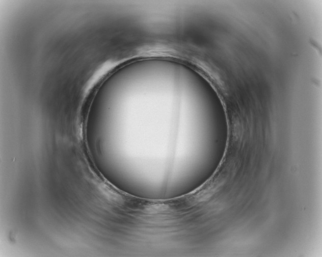 X0000099401462200805081523