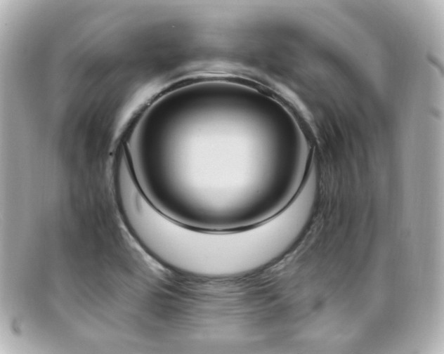 X0000099401464200805081523