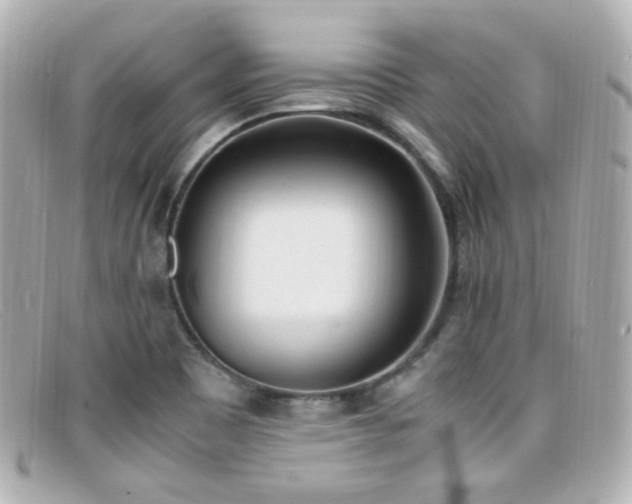 X0000099401465200805081523