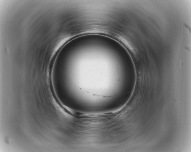 X0000099401468200805081523
