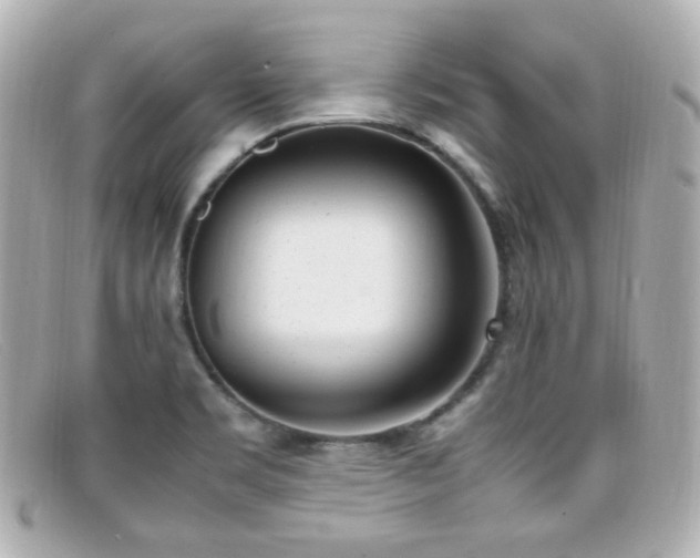 X0000099401469200805081523