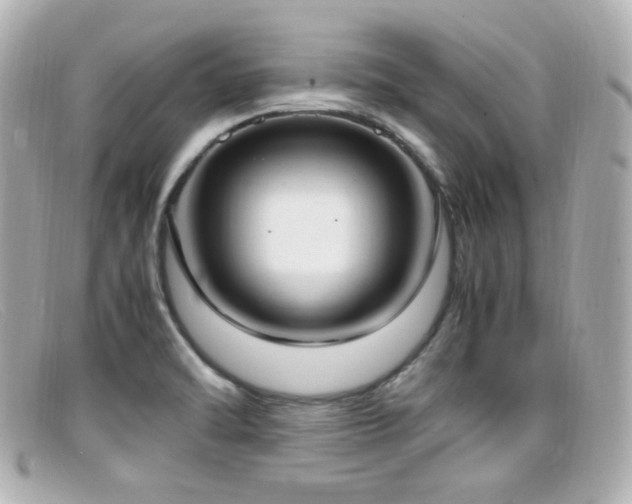 X0000099401470200805081523