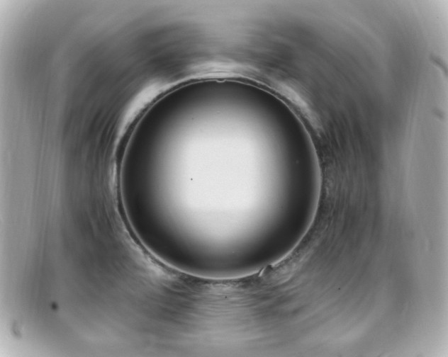 X0000099401472200805081523