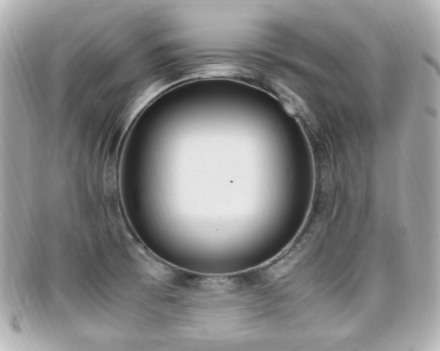X0000099401473200805081523