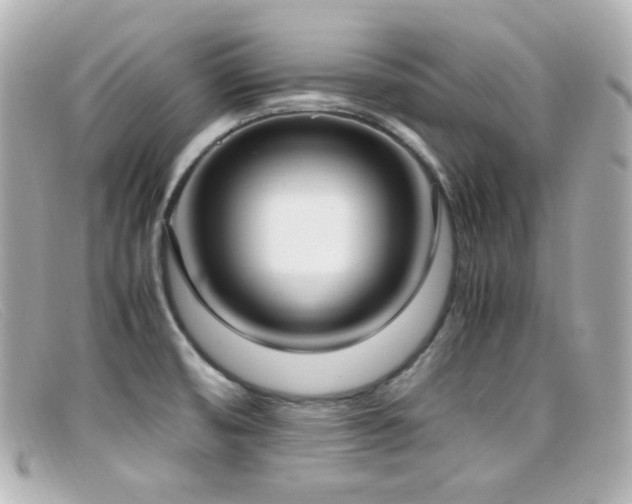 X0000099401474200805081523