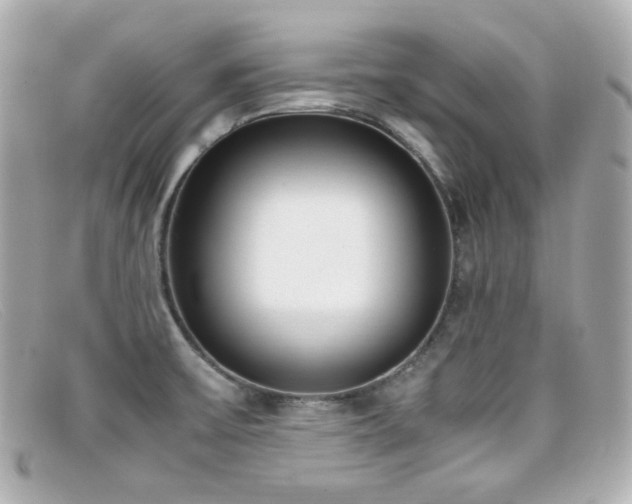 X0000099401475200805081523