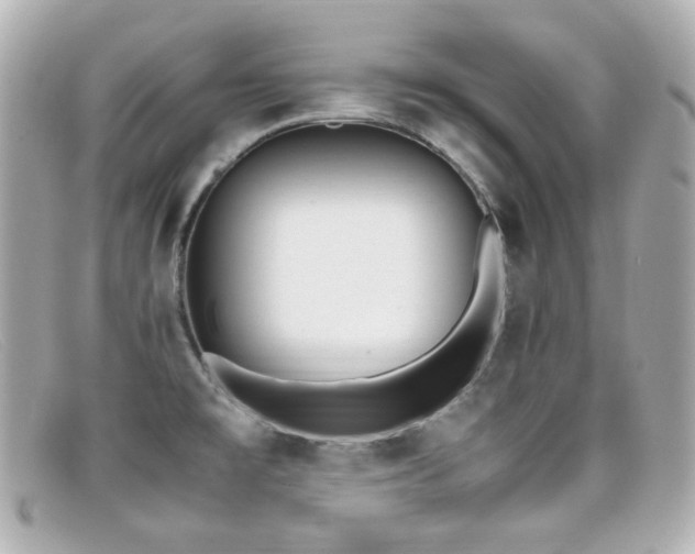 X0000099401477200805081523