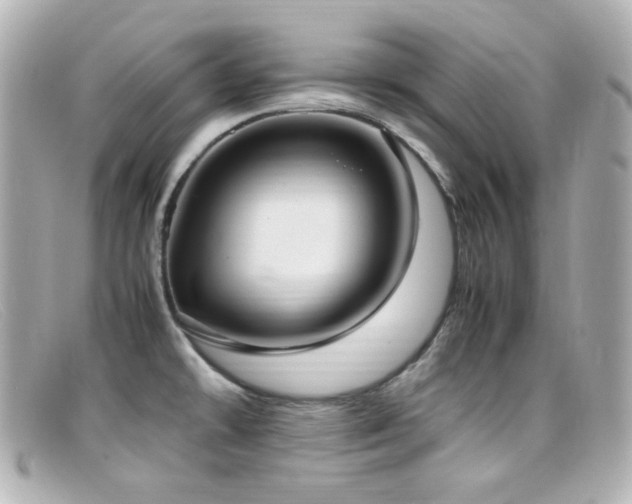 X0000099401478200805081523