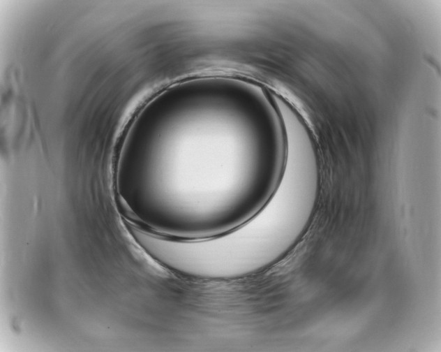 X0000099401480200805081523