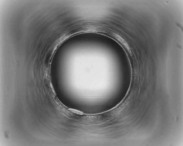 X0000099401481200805081523