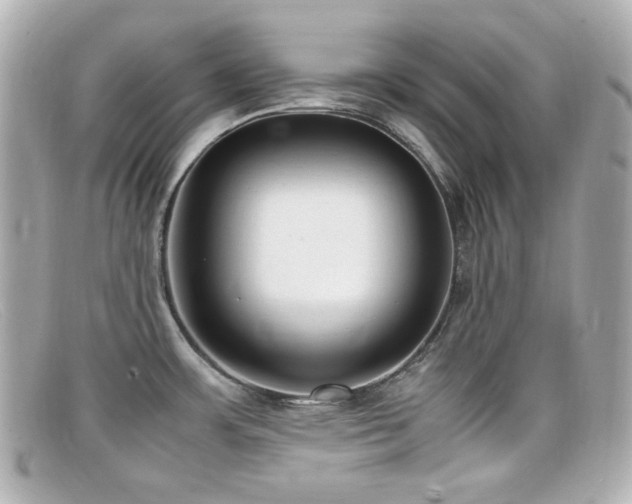 X0000099401483200805081523