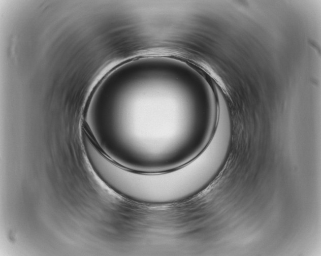 X0000099401484200805081523