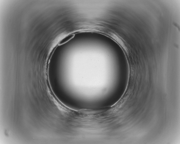 X0000099401485200805081523