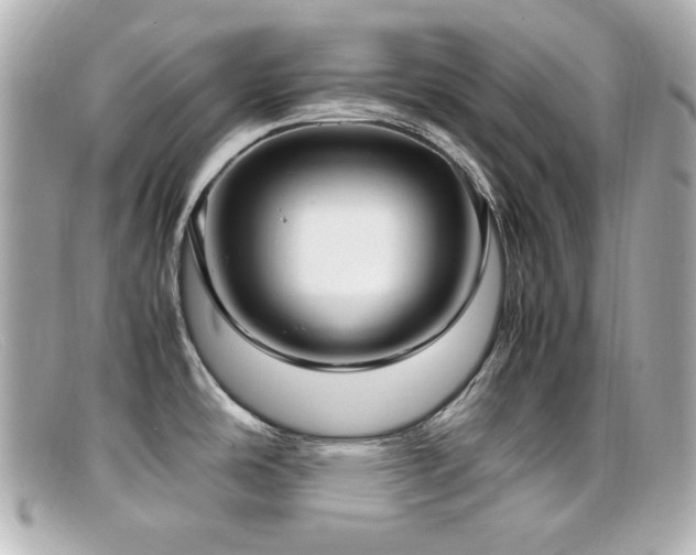 X0000099401486200805081523