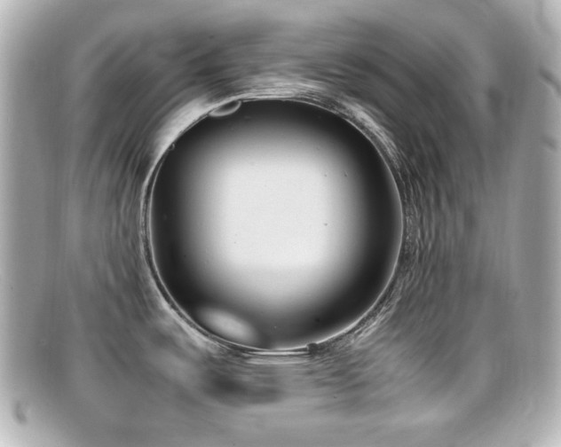X0000099401487200805081522
