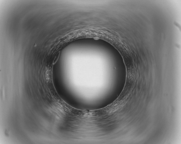 X0000099401490200805081522
