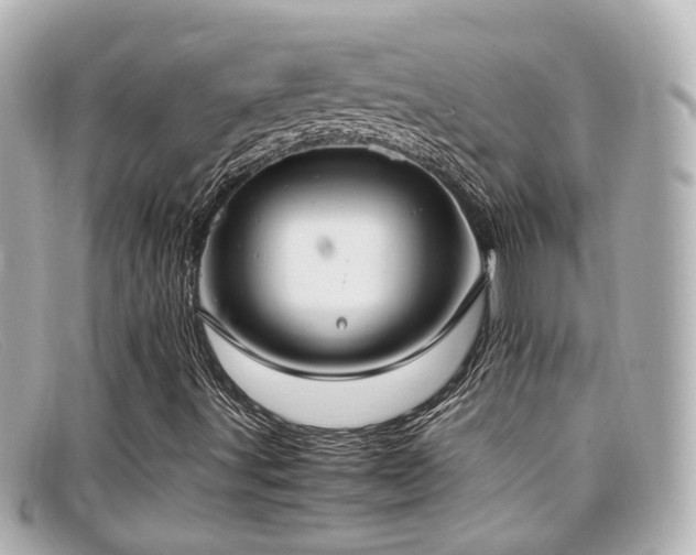 X0000099401491200805081522