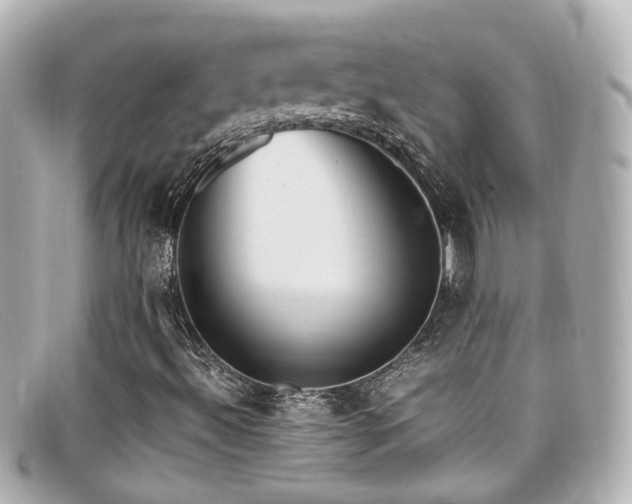 X0000099401492200805081522