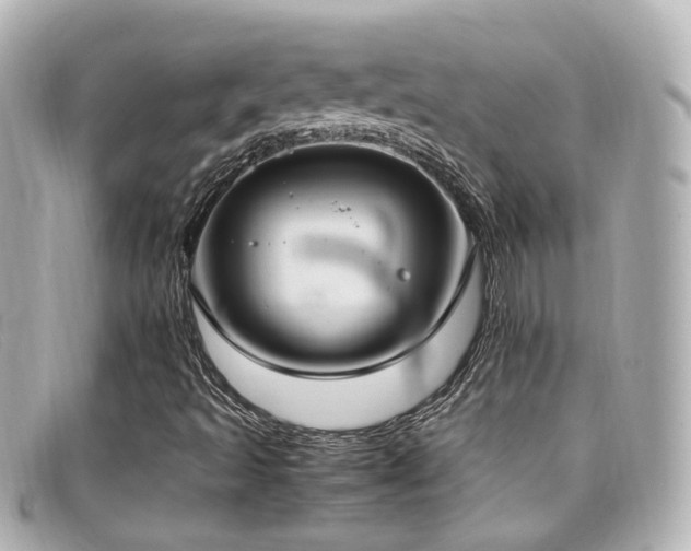 X0000099401493200805081522