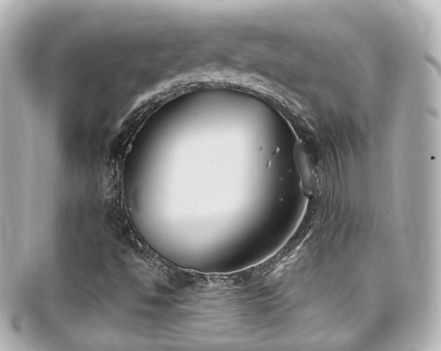 X0000099401494200805081522