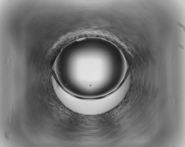 X0000099401495200805081522