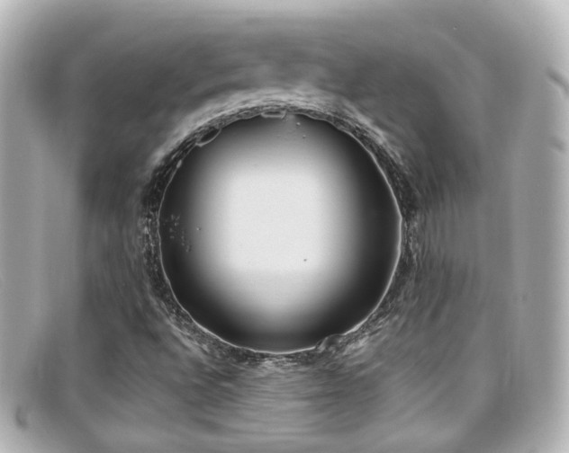 X0000099401496200805081522