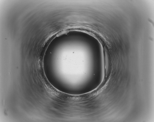 X0000099401497200805081522